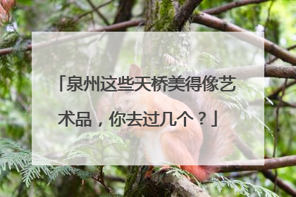 泉州这些天桥美得像艺术品，你去过几个？