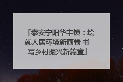 泰安宁阳华丰镇：绘就人居环境新画卷 书写乡村振兴新篇章