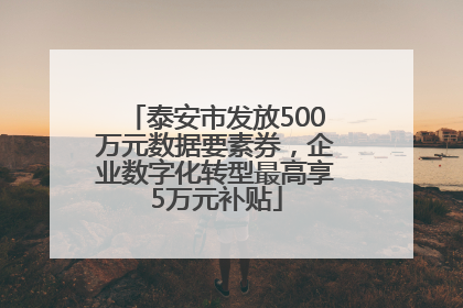 泰安市发放500万元数据要素券，企业数字化转型最高享5万元补贴