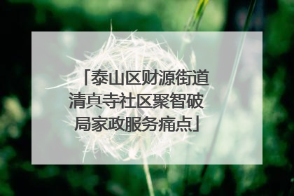 泰山区财源街道清真寺社区聚智破局家政服务痛点