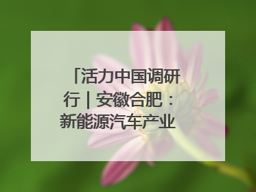 活力中国调研行｜安徽合肥：新能源汽车产业“加速跑”
