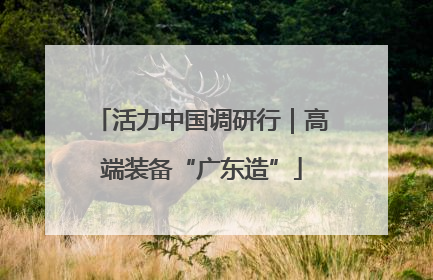 活力中国调研行｜高端装备“广东造”