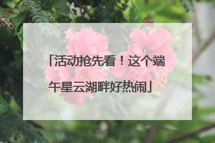 活动抢先看！这个端午星云湖畔好热闹