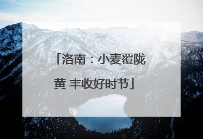 洛南：小麦覆陇黄 丰收好时节