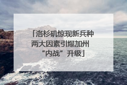 洛杉矶惊现新兵种 两大因素引爆加州“内战”升级