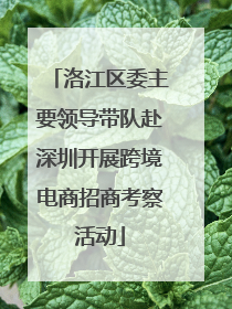 洛江区委主要领导带队赴深圳开展跨境电商招商考察活动