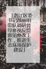 洛江区委书记颜丽明带队调研督导巡视反馈意见整改工作，推进生态环境保护建设