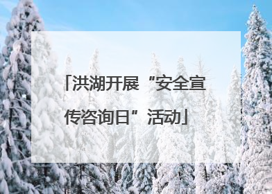 洪湖开展“安全宣传咨询日”活动