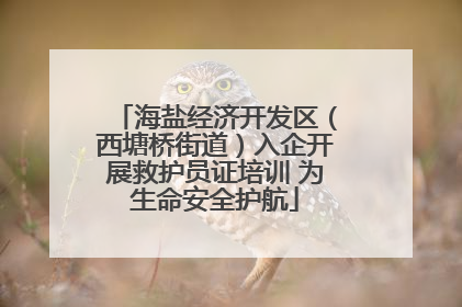 海盐经济开发区（西塘桥街道）入企开展救护员证培训 为生命安全护航