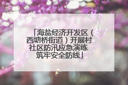 海盐经济开发区（西塘桥街道）开展村社区防汛应急演练 筑牢安全防线