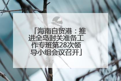 海南自贸港：推进全岛封关准备工作专班第28次领导小组会议召开