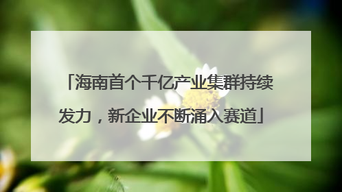 海南首个千亿产业集群持续发力，新企业不断涌入赛道
