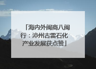 海内外闽商八闽行：漳州古雷石化产业发展获点赞