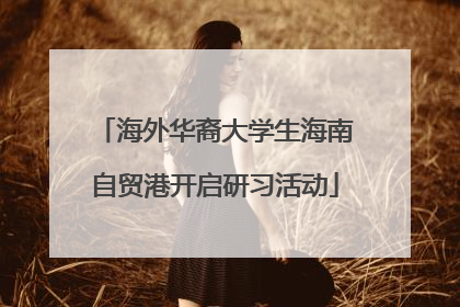 海外华裔大学生海南自贸港开启研习活动