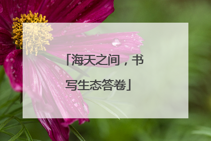 海天之间，书写生态答卷