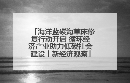 海洋蓝碳海草床修复行动开启 循环经济产业助力低碳社会建设丨新经济观察