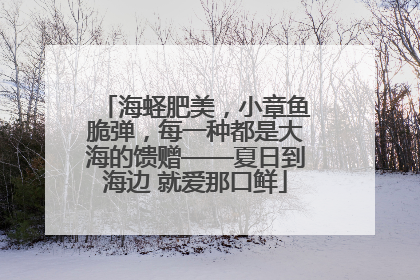 海蛏肥美，小章鱼脆弹，每一种都是大海的馈赠——夏日到海边 就爱那口鲜