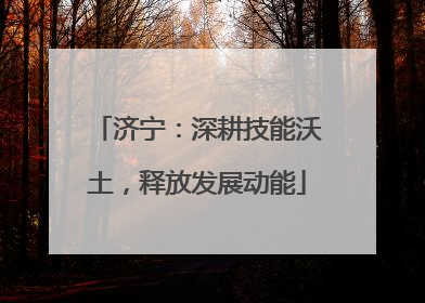 济宁：深耕技能沃土，释放发展动能