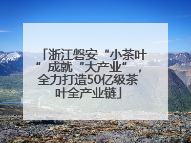 浙江磐安“小茶叶”成就“大产业”，全力打造50亿级茶叶全产业链