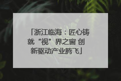 浙江临海：匠心铸就“视”界之窗 创新驱动产业腾飞