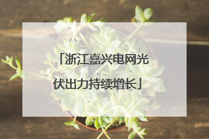 浙江嘉兴电网光伏出力持续增长