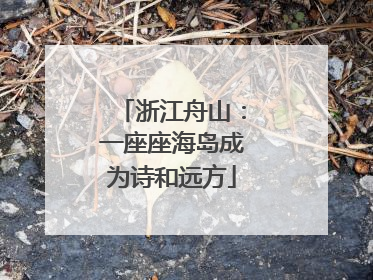 浙江舟山：一座座海岛成为诗和远方