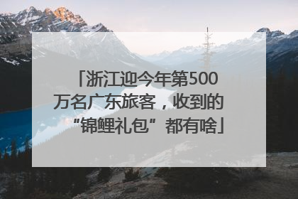 浙江迎今年第500万名广东旅客，收到的“锦鲤礼包”都有啥