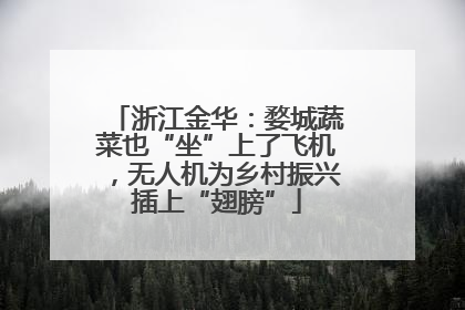 浙江金华：婺城蔬菜也“坐”上了飞机，无人机为乡村振兴插上“翅膀”
