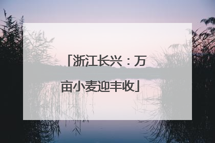 浙江长兴：万亩小麦迎丰收
