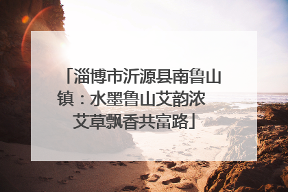 淄博市沂源县南鲁山镇：水墨鲁山艾韵浓 艾草飘香共富路
