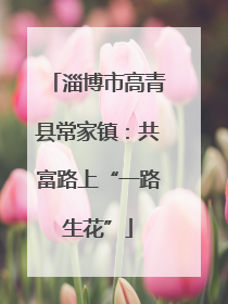 淄博市高青县常家镇：共富路上“一路生花”