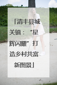 清丰县城关镇：“星辉闪耀”打造乡村共富新图景