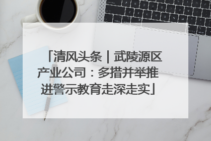 清风头条｜武陵源区产业公司：多措并举推进警示教育走深走实