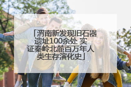 渭南新发现旧石器遗址100余处 实证秦岭北麓百万年人类生存演化史