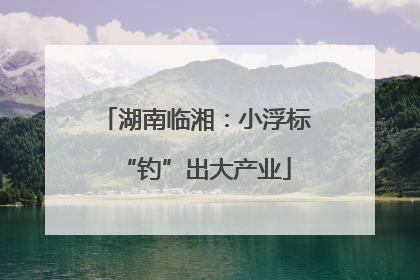 湖南临湘：小浮标“钓”出大产业