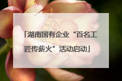 湖南国有企业“百名工匠传薪火”活动启动