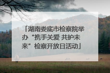 湖南娄底市检察院举办“携手关爱 共护未来”检察开放日活动