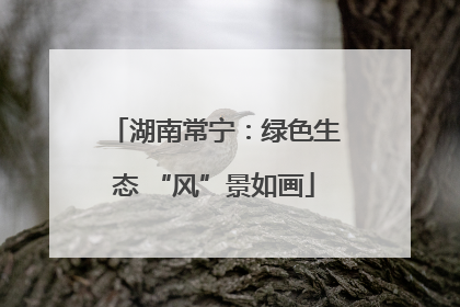 湖南常宁：绿色生态 “风”景如画