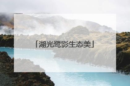 湖光鹭影生态美