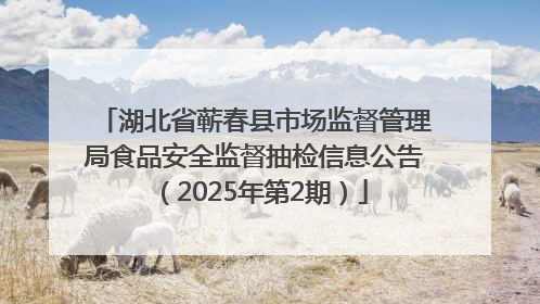 湖北省蕲春县市场监督管理局食品安全监督抽检信息公告（2025年第2期）