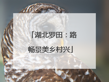 湖北罗田：路畅景美乡村兴