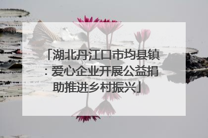 湖北丹江口市均县镇：爱心企业开展公益捐助推进乡村振兴
