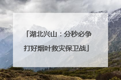 湖北兴山：分秒必争 打好烟叶救灾保卫战