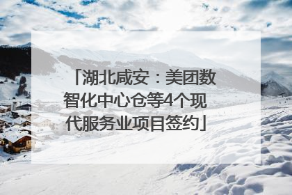 湖北咸安：美团数智化中心仓等4个现代服务业项目签约