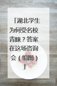 湖北学生为何受名校青睐？答案在这场咨询会（组图）