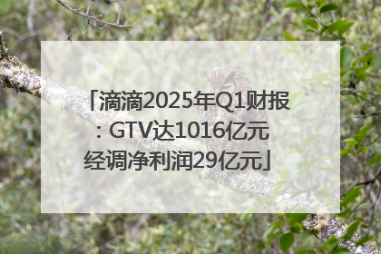 滴滴2025年Q1财报：GTV达1016亿元 经调净利润29亿元