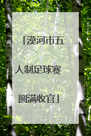 漠河市五人制足球赛圆满收官