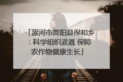 漯河市舞阳县保和乡：科学组织灌溉 保障农作物健康生长