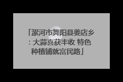漯河市舞阳县姜店乡：大蒜喜获丰收 特色种植铺就富民路