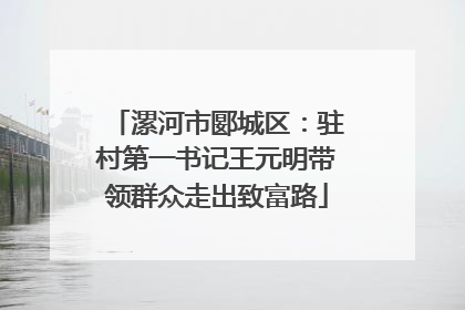 漯河市郾城区：驻村第一书记王元明带领群众走出致富路
